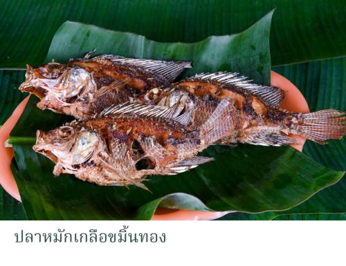 ปลาหมักเกลือขมิ้นทอง